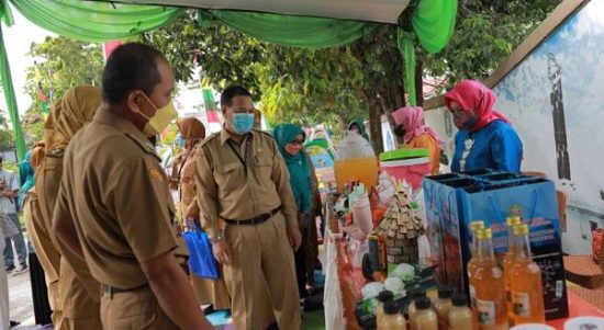 Bangka Belitung Laut Unggulkan Inovasi Kampong Pokok Telok