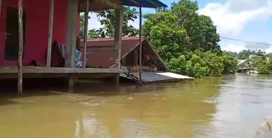 Kondisi banjir di Kecamatan Jelai Hulu, Ketapang. (Foto: Adi LC)