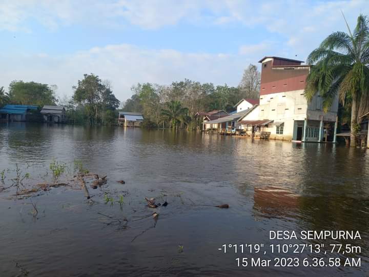 Musibah banjir melanda Desa Sempurna, Kecamatan Laur, Kabupaten Ketapang. (Foto: Adi LC)