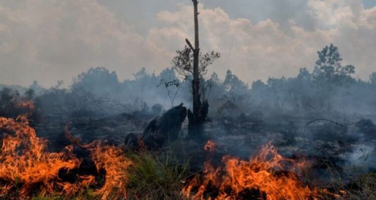 Karhutla. (Foto: Istimewa/Google)