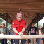 Bupati Kapuas Hulu, Fransiskus Diaan melakukan rangkaian ritual pada acara penancapan tiang pertama terhadap pembangunan rehabilitasi Rumah Betang Lunsa Hilir, Minggu (09/07/2023) pagi. (Foto: Ishaq)