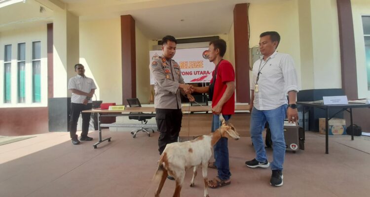 Pengembalian hewan ternak kepada pemilik dilakukan di Mapolres Kayong Utara, Selasa, (08/08/2023). (Foto: Santo)