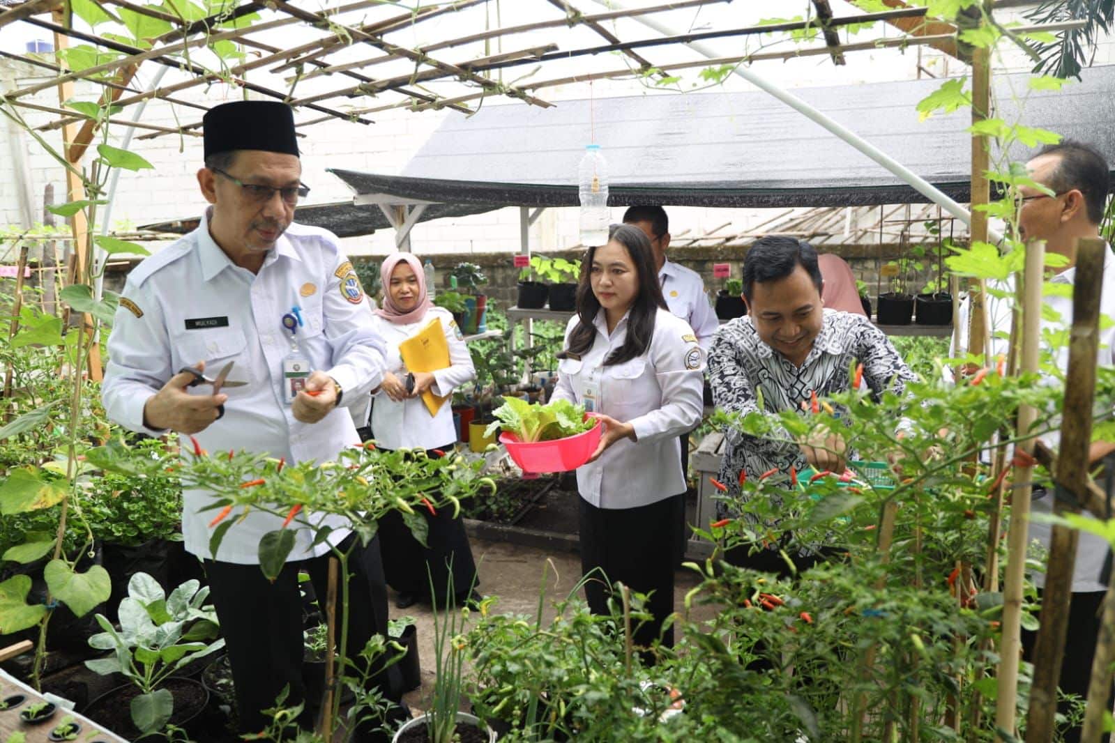 Sekretaris Daerah Kota Pontianak, Mulyadi melakukan penilain tanaman sayur-sayuran dalam rangka Gerakan Menanam Sayur yang telah dicanangkan sebelumnya. (Foto: Kominfo Pontianak)