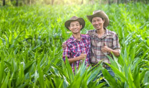 Pupuk Indonesia Perkuat Ketahanan Pangan dengan Regenerasi Petani Muda