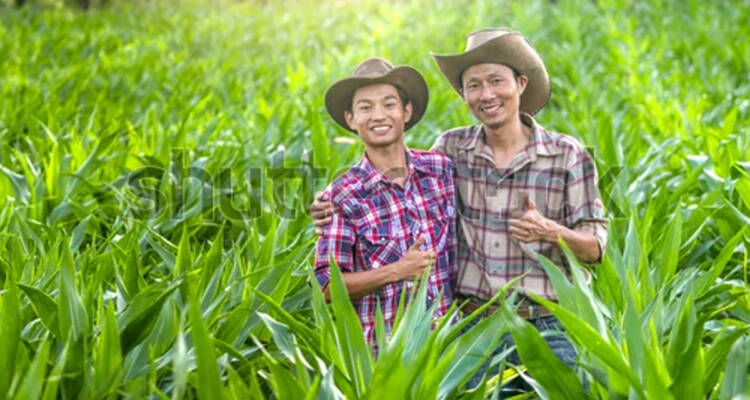 Pupuk Indonesia Perkuat Ketahanan Pangan dengan Regenerasi Petani Muda