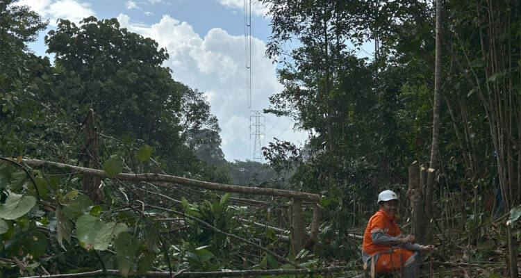 Tim Grebek Right of Way UPT melaksanakan penebangan pohon yang berada di bawah jalur transmisi Muara Teweh-Buntok - PLN