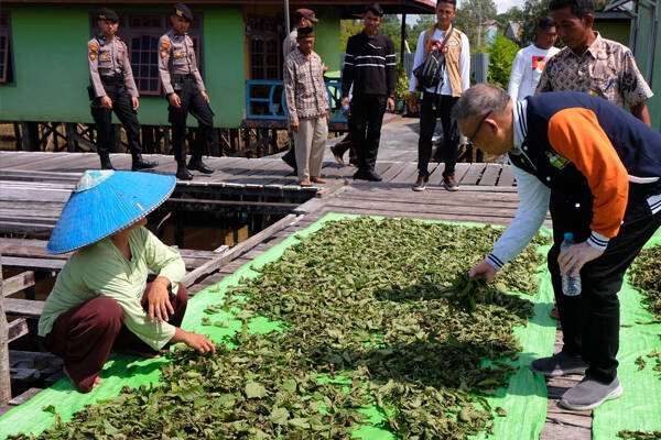 Calon Gubernur Kalbar nomor urut 1, Sutarmidji dialog dengan petani kratom