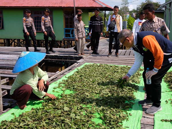 Calon Gubernur Kalbar nomor urut 1, Sutarmidji dialog dengan petani kratom