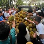 QRIS Kalbar, Bank Indonesia Pontianak, UMKM digital Kalimantan Barat, Diskon QRIS Jemongko, Musim Durian Kalbar - Durian Jemongko