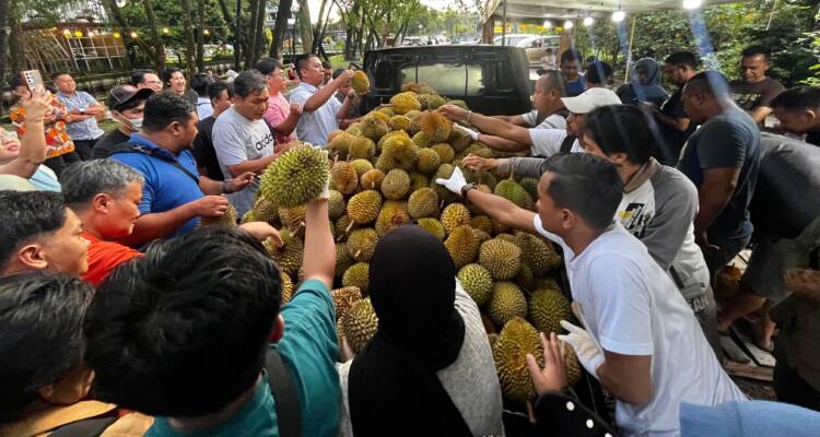 QRIS Kalbar, Bank Indonesia Pontianak, UMKM digital Kalimantan Barat, Diskon QRIS Jemongko, Musim Durian Kalbar - Durian Jemongko