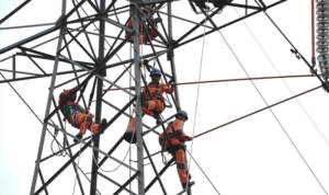 PLN