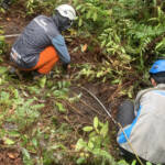 PLN Kalimantan, pembersihan ROW, cuaca ekstrem