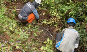 PLN Kalimantan, pembersihan ROW, cuaca ekstrem