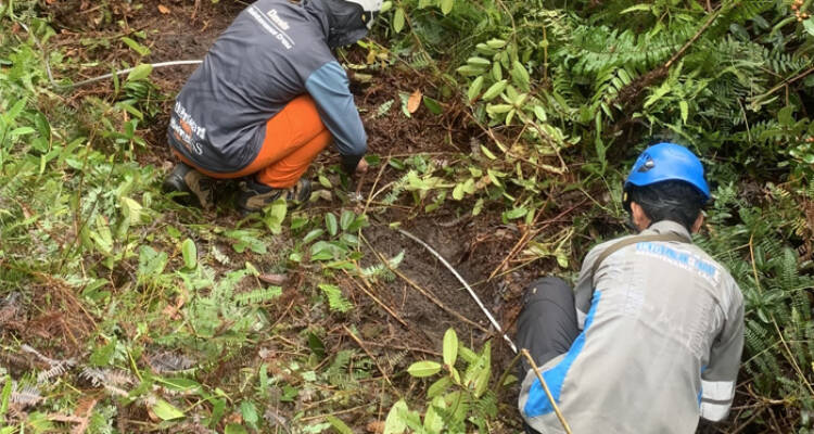 PLN Kalimantan, pembersihan ROW, cuaca ekstrem